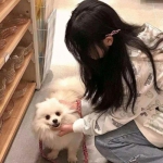 盈彩网手机app下载